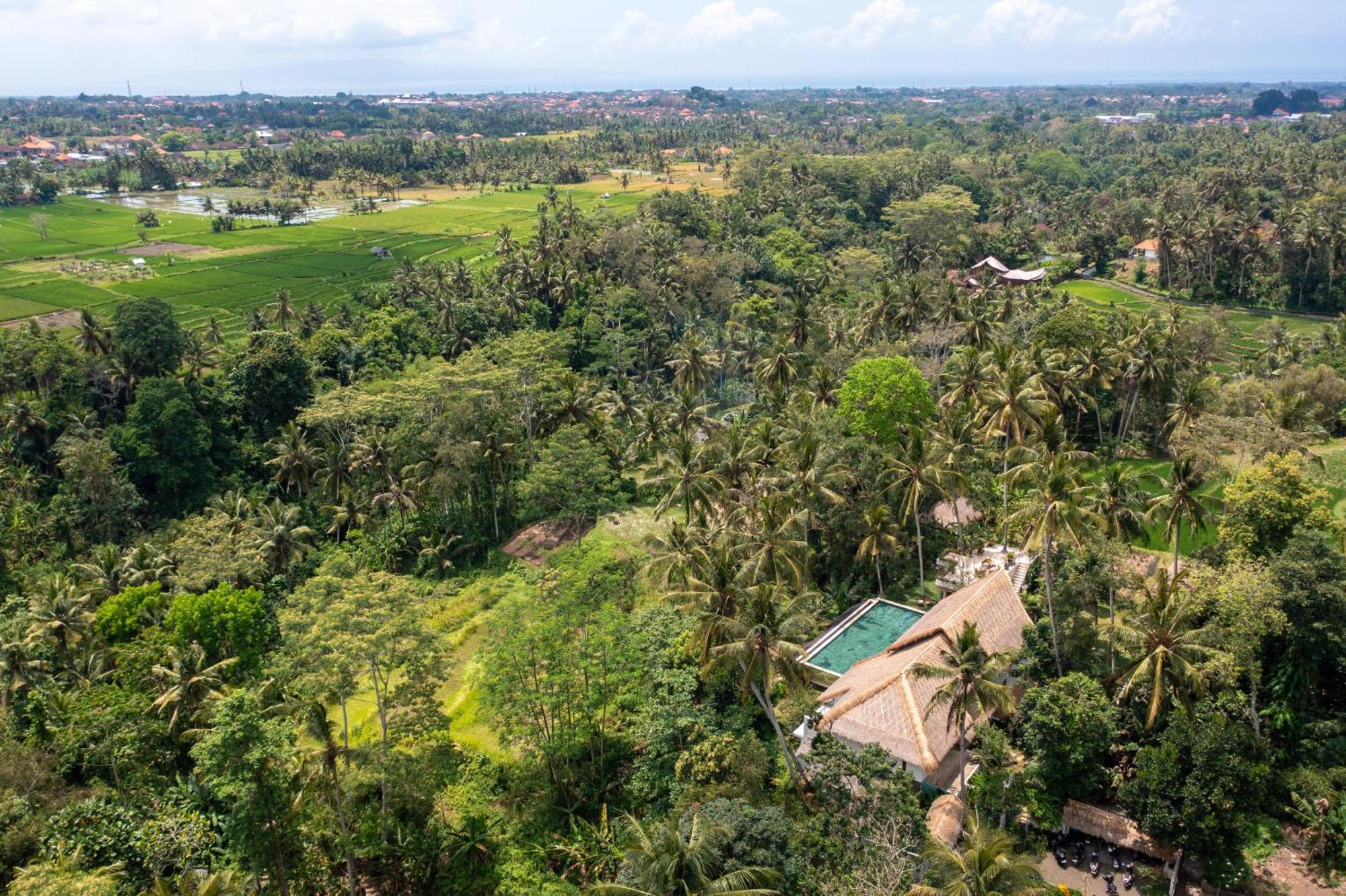 Villa Ressource Ubud Bedulu Exteriör bild